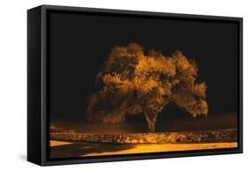 Black Sweat-Philippe Sainte-Laudy-Framed Stretched Canvas