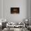 Black Sweat-Philippe Sainte-Laudy-Framed Stretched Canvas displayed on a wall