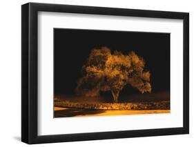 Black Sweat-Philippe Sainte-Laudy-Framed Photographic Print