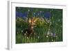 Black Tail Deer Fawn, Alpine Wildflowers-Ken Archer-Framed Photographic Print