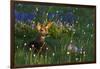 Black Tail Deer Fawn, Alpine Wildflowers-Ken Archer-Framed Photographic Print