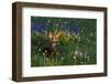 Black Tail Deer Fawn, Alpine Wildflowers-Ken Archer-Framed Premium Photographic Print