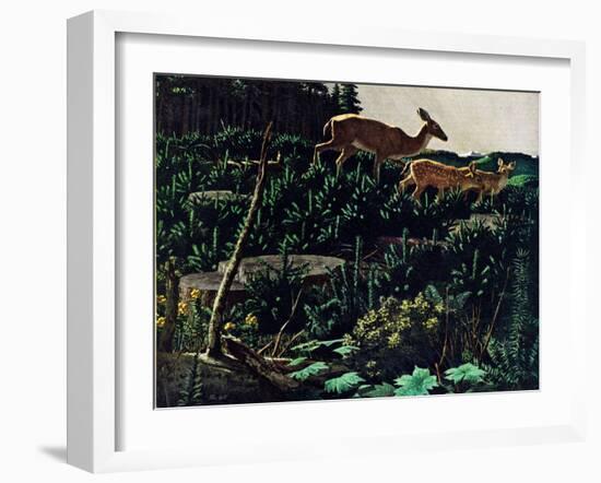 Black Tail Deer-Stan Galli-Framed Giclee Print