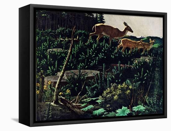 Black Tail Deer-Stan Galli-Framed Stretched Canvas