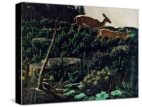 Black Tail Deer-Stan Galli-Stretched Canvas