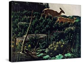 Black Tail Deer-Stan Galli-Stretched Canvas