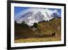 Black-tailed Deer Buck, Mount Rainier-Ken Archer-Framed Photographic Print