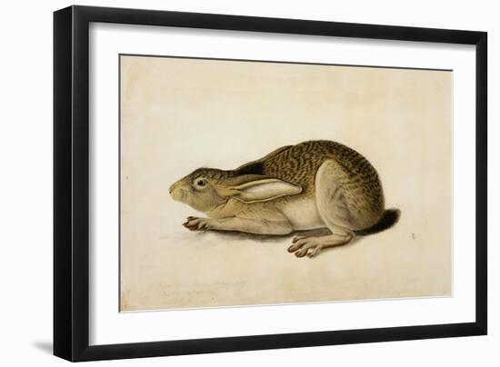 Black-Tailed Hare, 1841-John James Audubon-Framed Giclee Print