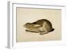 Black-Tailed Hare, 1841-John James Audubon-Framed Giclee Print