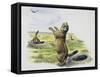 Black-Tailed Prairie Dog (Cynomys Ludovicianus), Sciuridae-null-Framed Stretched Canvas