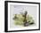 Black-Tailed Prairie Dog (Cynomys Ludovicianus), Sciuridae-null-Framed Giclee Print