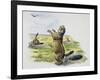 Black-Tailed Prairie Dog (Cynomys Ludovicianus), Sciuridae-null-Framed Giclee Print