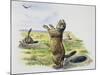 Black-Tailed Prairie Dog (Cynomys Ludovicianus), Sciuridae-null-Mounted Giclee Print