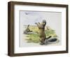 Black-Tailed Prairie Dog (Cynomys Ludovicianus), Sciuridae-null-Framed Giclee Print