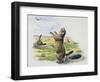 Black-Tailed Prairie Dog (Cynomys Ludovicianus), Sciuridae-null-Framed Giclee Print