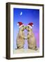 Black-Tailed Prairie Dog Pair in Christmas Hats-null-Framed Photographic Print