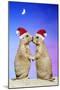 Black-Tailed Prairie Dog Pair in Christmas Hats-null-Mounted Photographic Print