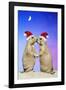 Black-Tailed Prairie Dog Pair in Christmas Hats-null-Framed Photographic Print