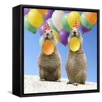 Black-Tailed Prairie Dog Pair with Balloons-null-Framed Stretched Canvas