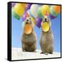 Black-Tailed Prairie Dog Pair with Balloons-null-Framed Stretched Canvas