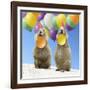 Black-Tailed Prairie Dog Pair with Balloons-null-Framed Photographic Print