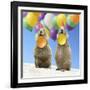 Black-Tailed Prairie Dog Pair with Balloons-null-Framed Photographic Print