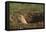 Black-Tailed Prairie Dog Peeking out of Den-DLILLC-Framed Stretched Canvas