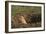 Black-Tailed Prairie Dog Peeking out of Den-DLILLC-Framed Photographic Print