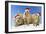 Black-Tailed Prairie Dog Three Animals in a Row-null-Framed Photographic Print