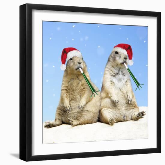 Black-Tailed Prairie Dog with Christmas Hats-null-Framed Photographic Print