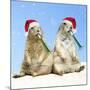 Black-Tailed Prairie Dog with Christmas Hats-null-Mounted Photographic Print