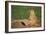 Black-Tailed Prairie Dog-DLILLC-Framed Photographic Print