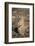 Black-Tailed Prairie Dog-DLILLC-Framed Photographic Print