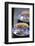 Black Tea-Joerg Lehmann-Framed Photographic Print