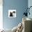 Black Terrier Cross Puppy Age 3 Months, with a Black and White Kitten-Mark Taylor-Stretched Canvas displayed on a wall