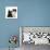 Black Terrier Cross Puppy Age 3 Months, with a Black and White Kitten-Mark Taylor-Stretched Canvas displayed on a wall