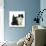 Black Terrier Cross Puppy Age 3 Months, with a Black and White Kitten-Mark Taylor-Photographic Print displayed on a wall