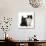 Black Terrier Cross Puppy Age 3 Months, with a Black and White Kitten-Mark Taylor-Photographic Print displayed on a wall