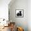 Black Terrier-Cross Puppy, Maisy, 3 Months, with a Black Rabbit-Mark Taylor-Framed Stretched Canvas displayed on a wall