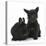 Black Terrier-Cross Puppy, Maisy, 3 Months, with a Black Rabbit-Mark Taylor-Stretched Canvas