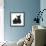 Black Terrier-Cross Puppy, Maisy, 3 Months, with a Black Rabbit-Mark Taylor-Framed Photographic Print displayed on a wall