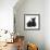 Black Terrier-Cross Puppy, Maisy, 3 Months, with a Black Rabbit-Mark Taylor-Framed Photographic Print displayed on a wall
