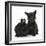 Black Terrier-Cross Puppy, Maisy, 3 Months, with a Black Rabbit-Mark Taylor-Framed Photographic Print