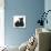 Black Terrier-Cross Puppy, Maisy, 3 Months, with a Black Rabbit-Mark Taylor-Mounted Photographic Print displayed on a wall