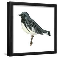 Black-Throated Blue Warbler (Dendroica Caerulescens), Birds-Encyclopaedia Britannica-Framed Poster