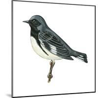 Black-Throated Blue Warbler (Dendroica Caerulescens), Birds-Encyclopaedia Britannica-Mounted Poster