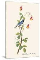 Black-Throated Blue Warbler-John James Audubon-Stretched Canvas