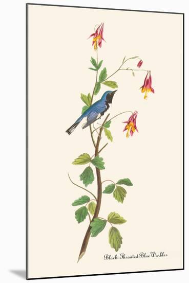 Black-Throated Blue Warbler-John James Audubon-Mounted Art Print