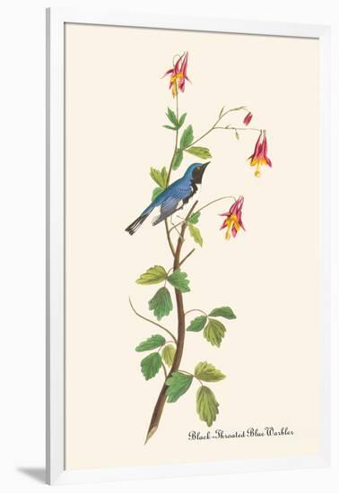 Black-Throated Blue Warbler-John James Audubon-Framed Art Print