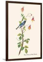 Black-Throated Blue Warbler-John James Audubon-Framed Art Print